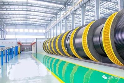 保障“吉电入鲁”项目顺利落地,远东电缆再展实力